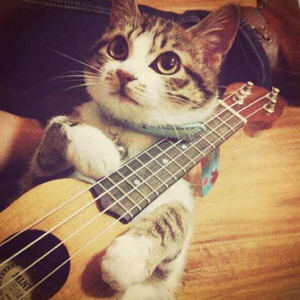 国产毛片导航网
